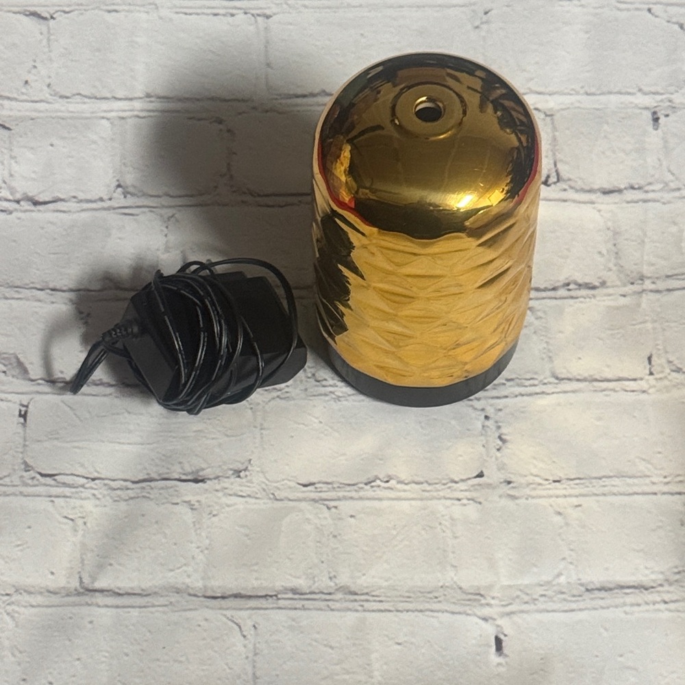 Intertek Electric Metallic Gold Diffuser